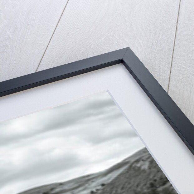 Beautiful countryside by Assaf Frank